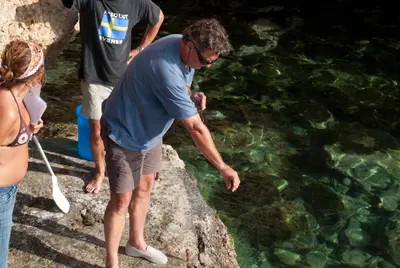 Tres personas en la orilla rocosa; una de ellas aplica una espátula Meduclean gris en su brazo.